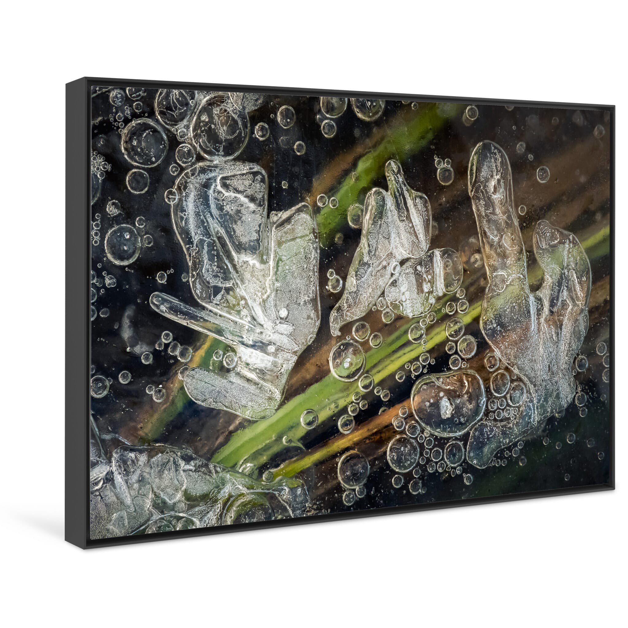 Framed photo print of colorful frozen moorland ice shaped by plants and temperature shifts