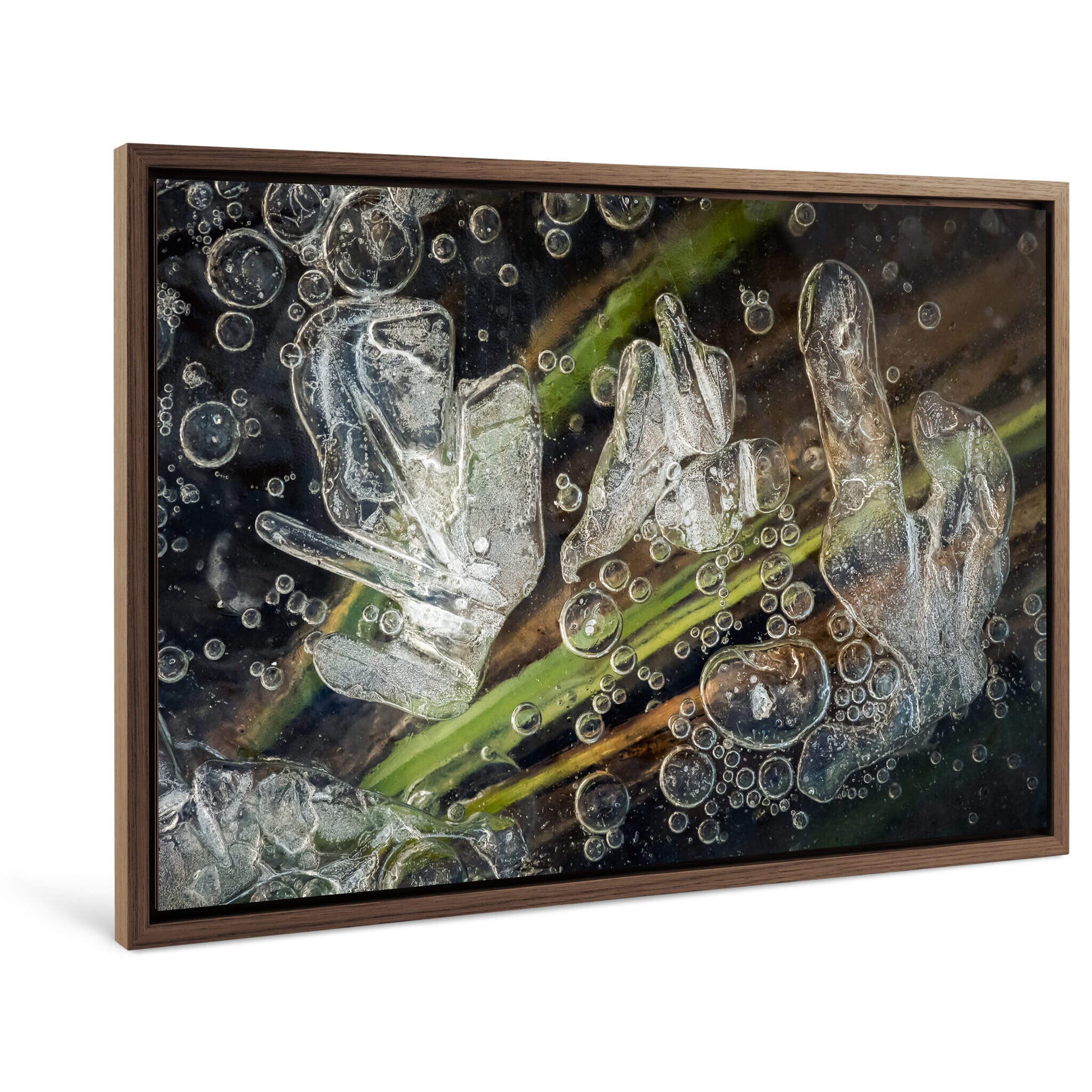 Framed photo print of abstract macro view combining ice bubbles and frozen flora