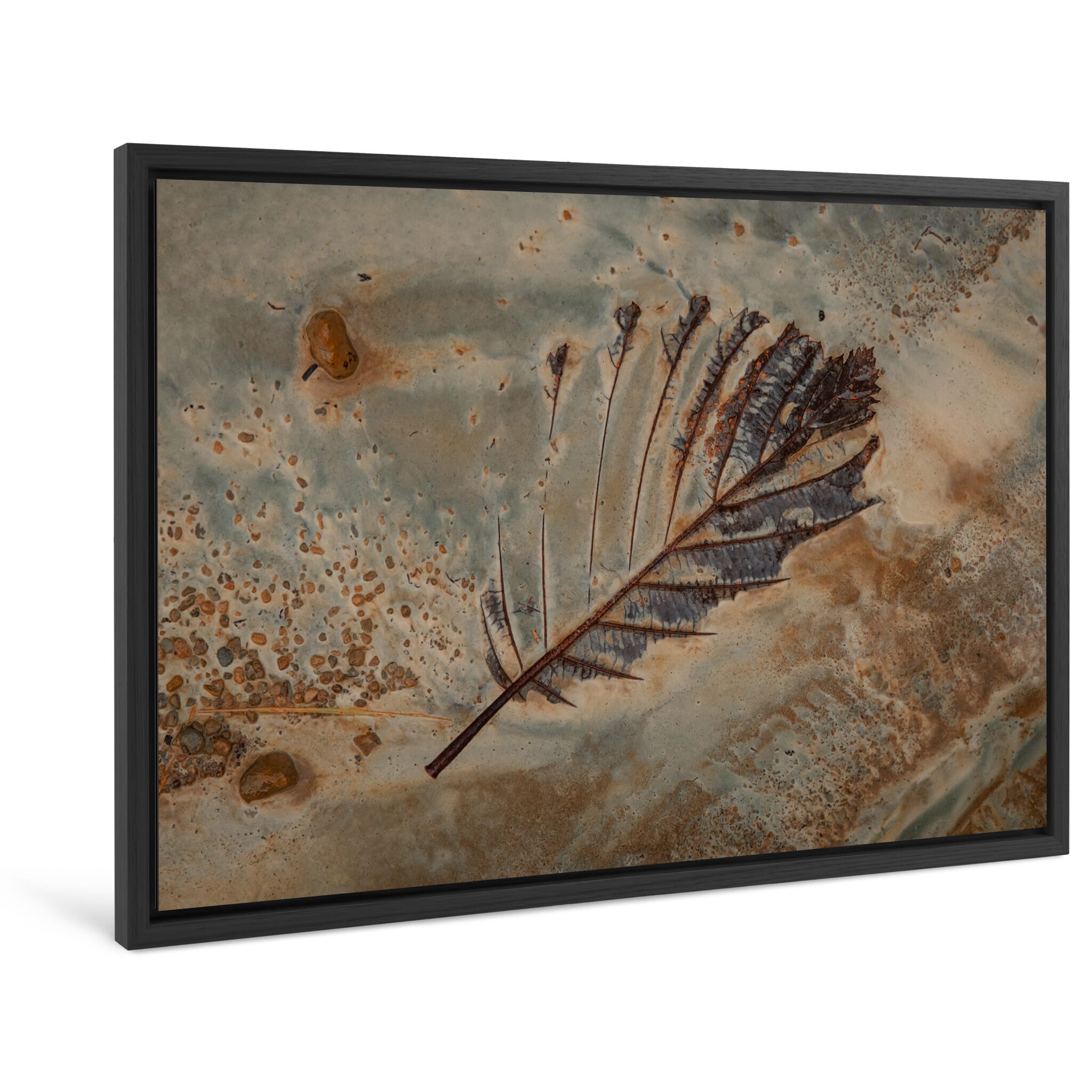 Framed photo print of rich earth tones with leaf settled in chalky sediment