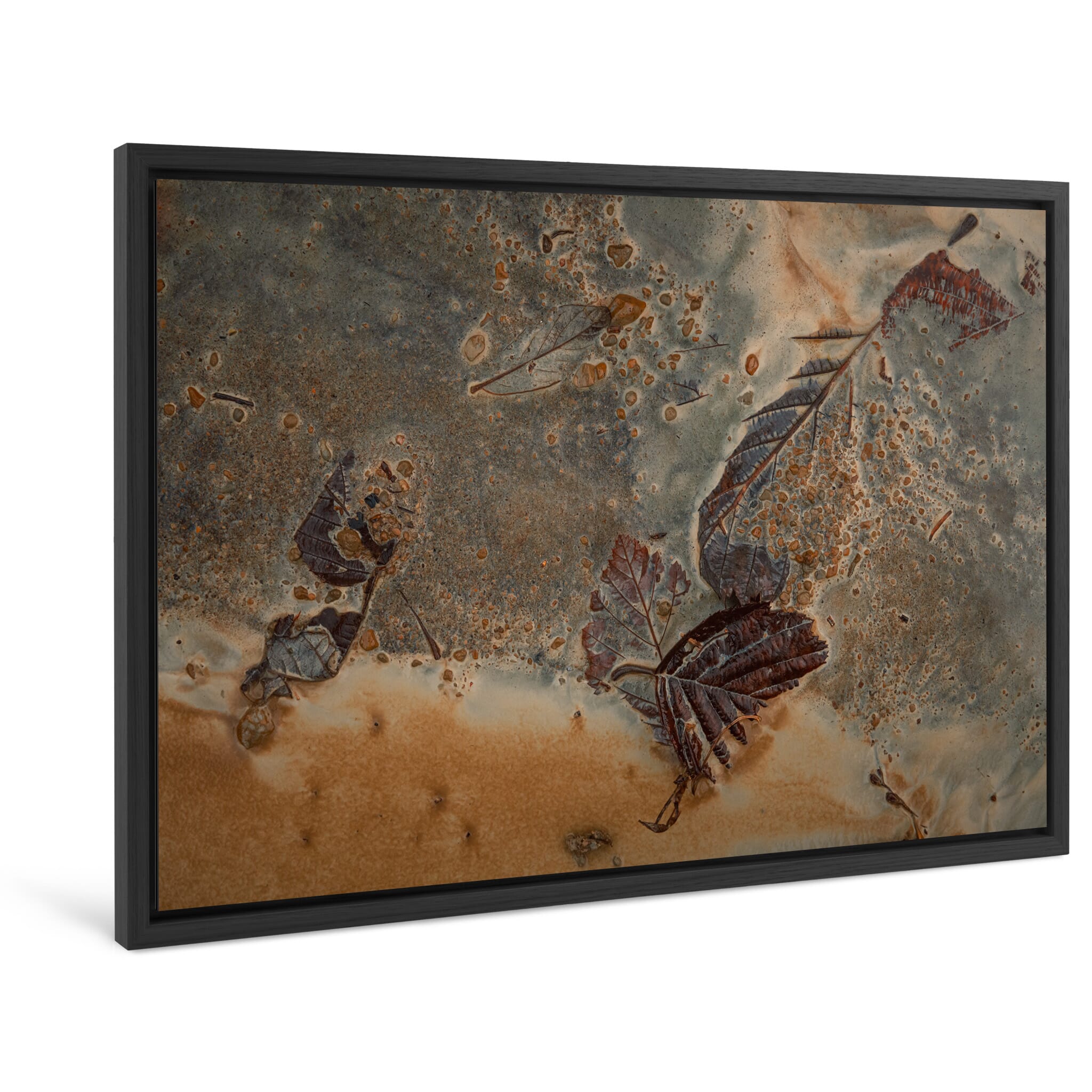 Framed photo print of rich earth tones with leaves settled in chalky sediment